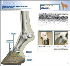 Equine Joint Injection book – AVS Bookstore